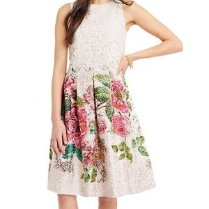 Oasis Royal Worcester Collection Lace Bodice Floral Midi Dress marked sz8, fits4